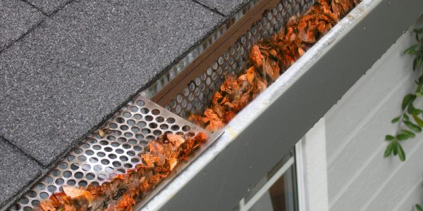 gutter-cleaning